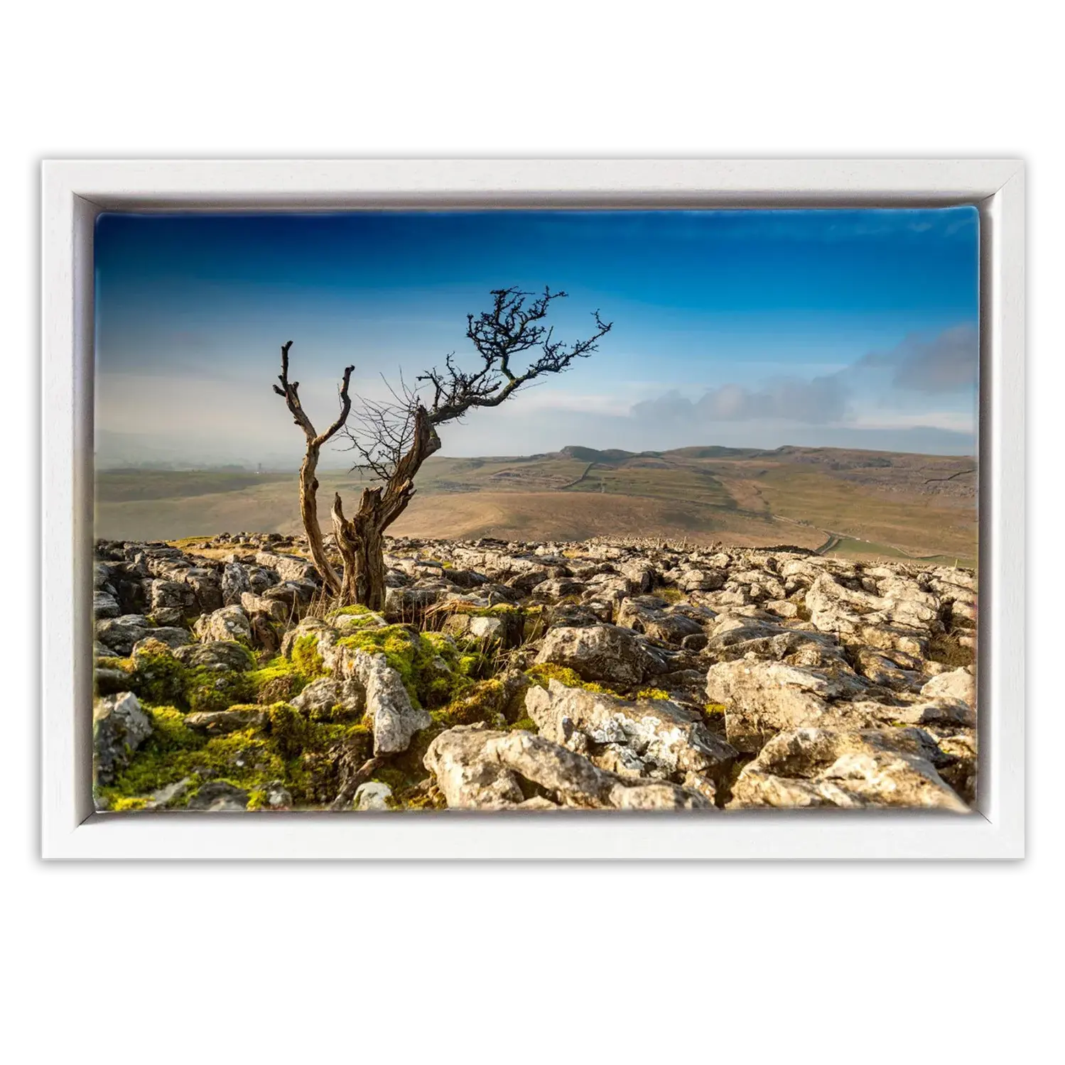 'Twistleton Scar'.Fine art prints and canvas art prints